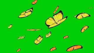 Butterflies green screen animation no copyright ©️ 