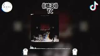 熄灭 ♪ - TC（抖音版 2025）『抖音 | TikTok Remix』【動態歌詞】【纯音乐】