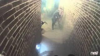 My New Clip