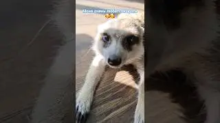 Загораем дома 😍😍