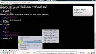 Spoofing source ip address