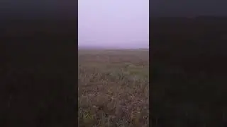 20 км от от монгольского границу