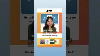 How to Embed an Instagram Feed In an Email | Litmus Personalize
