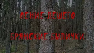 🌲 Брянская лесная жуть | Лешие | В. Д. Глебов | Брянские былички | 131–140