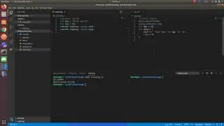 dynamic vs static typing programming language