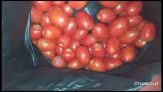 Мясо - рыбно - овощная закупка на 3800 рублей 🙄29.08.24. Цены в Новой Каховке 🤗