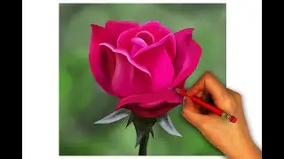 How to draw a Rose | How to draw a Rose from Beginner to Advanced