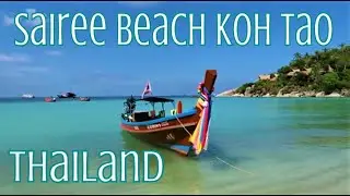 Thailand (Koh Tao) Sairee Beach (Turtle Island) Clear Blue Sea. Thailand's Diving Island.