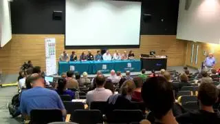 W3C Standards and Implementors Panel