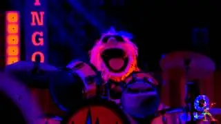 The Muppets Under a Blacklight