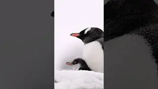 Sleepy Time