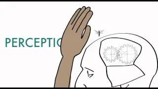 Sensation & Perception: Top-Down & Bottom-Up Processing