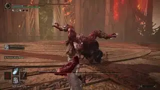 Tarnished trip on a rock and died