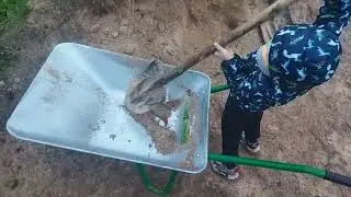 Дачные движения.Наконец мы начали что то делать