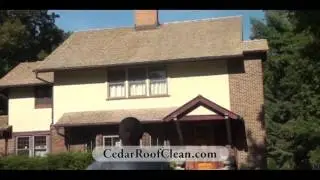 Cedar Roof Tips: Never Seal a Cedar Roof! 🚨 Wood Roof Maintenance