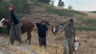 FAMILY BUSINESS IN THE HIGHLAND