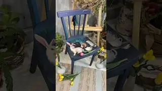 На мусорку ? Нет! Дать новую и красивую жизнь❤️ 