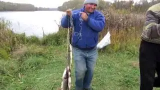 Рыбалка. Дорофеевка