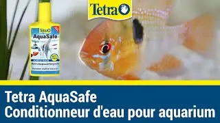 Tetra AquaSafe | Conditionneur d'eau pour aquarium