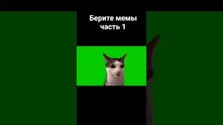 #мемы #tiktok #2024 #котики