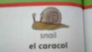 Learn English garden vocabulary