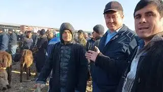 ИСКРА МОЛ БОЗОРИ ДУСТЛАР