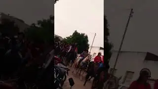 vaquejada caminhada de vaqueiro povoado de salgadália