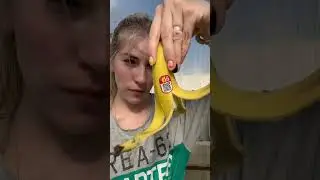 ПОМИДОРЫ. Поженила, покормила, спать уложила! #огород#помидоры#рассада#помидорывтеплице