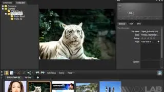 Corel PaintShop Pro X4 Seminar Part 2