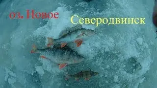 Рыбалка на Балансир. Озеро "Новое" Северодвинск.