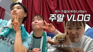 배드민턴에게 영혼을 뺏긴 영주의 주말VLOGㅣ 0zoo 영주