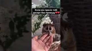Знаєш кому відправити❤️