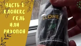 Часть 1. Клонекс гель или ризопон.