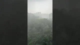 비 시원하게 오네 여름아 가라