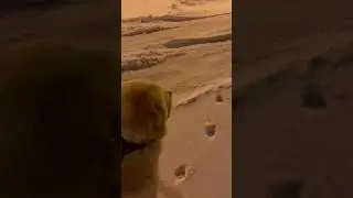 Ну и кто тут злобный 