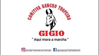 #10- CONHECIMENTO TROPEIRO - Mula Damiana e Mula Baiana
