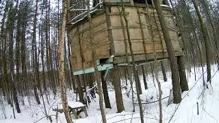 Дом на дереве по русски
