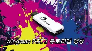 Wingman FGC 2 | 튜토리얼 비디오