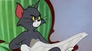 Tom, Is that you????| shitpostno 2