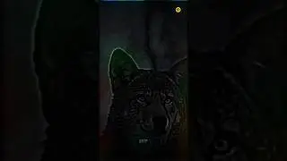 24kGoldn - Mood ♥️ ( Free fire Highlights )