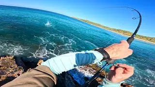 NOOSA HEADS - Land Based Fishing For Tropical Fish | Crystal Clear Water!