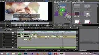 Hollywood FX with edius 7 and edius 8