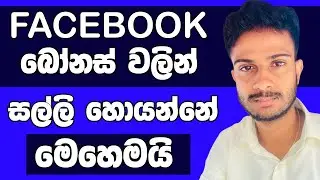 Earn Money With Facebook Performance Bonus ? |Facebook Bonus Sri Lanka