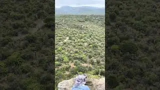 .50 BMG vs Nyala
