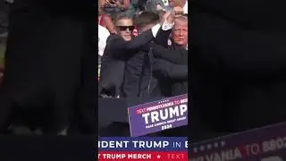 Trump taken off stage after shots fired at rally