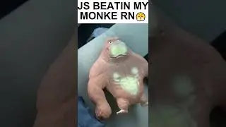 JS BEATIN MY MONKE RN😤 @67badnewsboiii35 #BEATINMYMONKE #funny #67badnews boiii #BRANTON