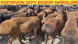 YOZYOVON QO'Y BOZORI 2023