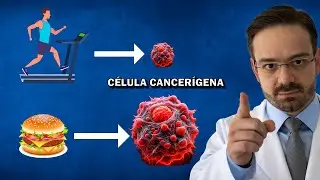 A Melhor Maneira de Não Ter Câncer!
