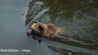 RetroVision - Hope