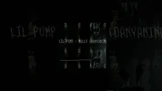 LIL PUMP- MOLLY (DANYANINE EDM REMIX) #rap #music #hiphop #phonk #edm #slaphouse